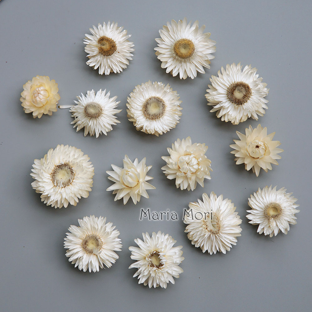 Baby Products 2 Years - Natuurlijke Gedroogde Kleurrijke Chrysanthemum Krans Handgemaakte